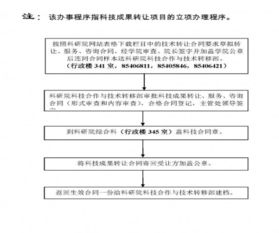 科技成果转让项目申办与技术服务要点解析